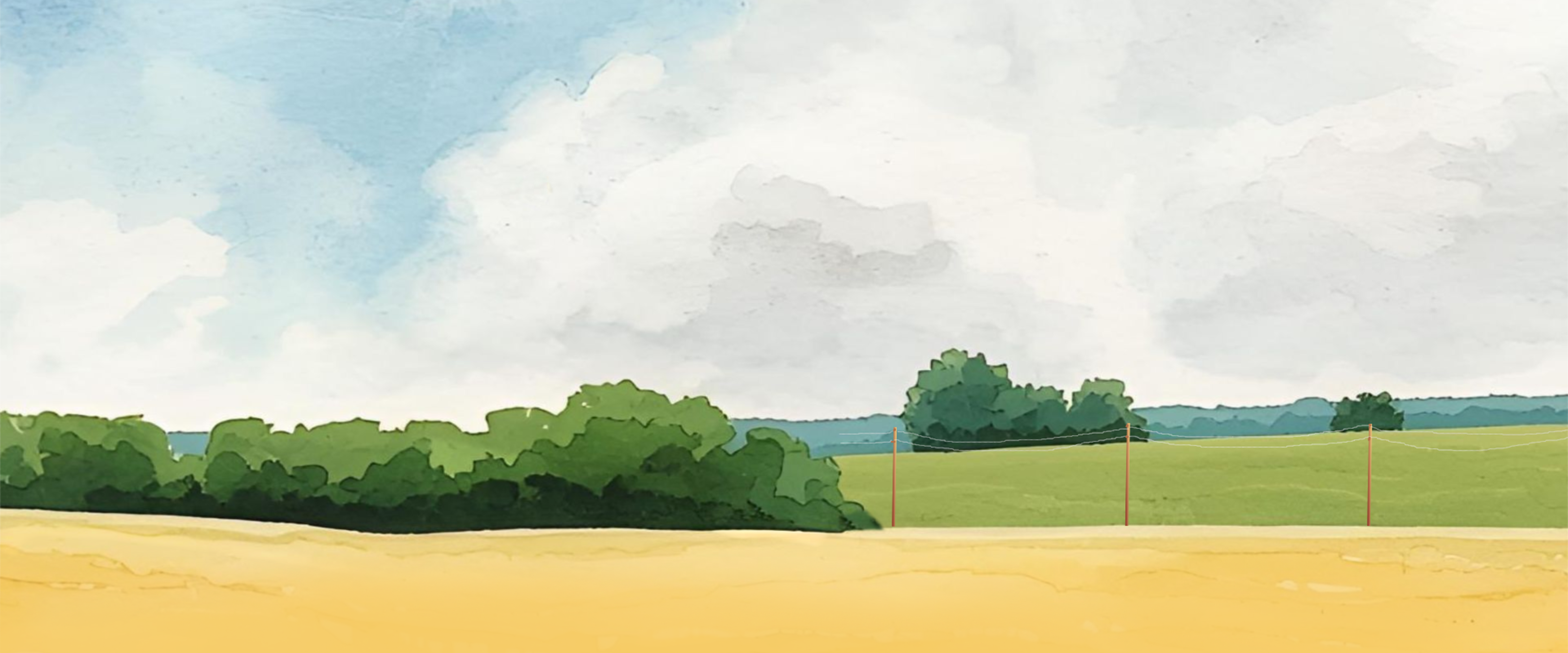rural scene